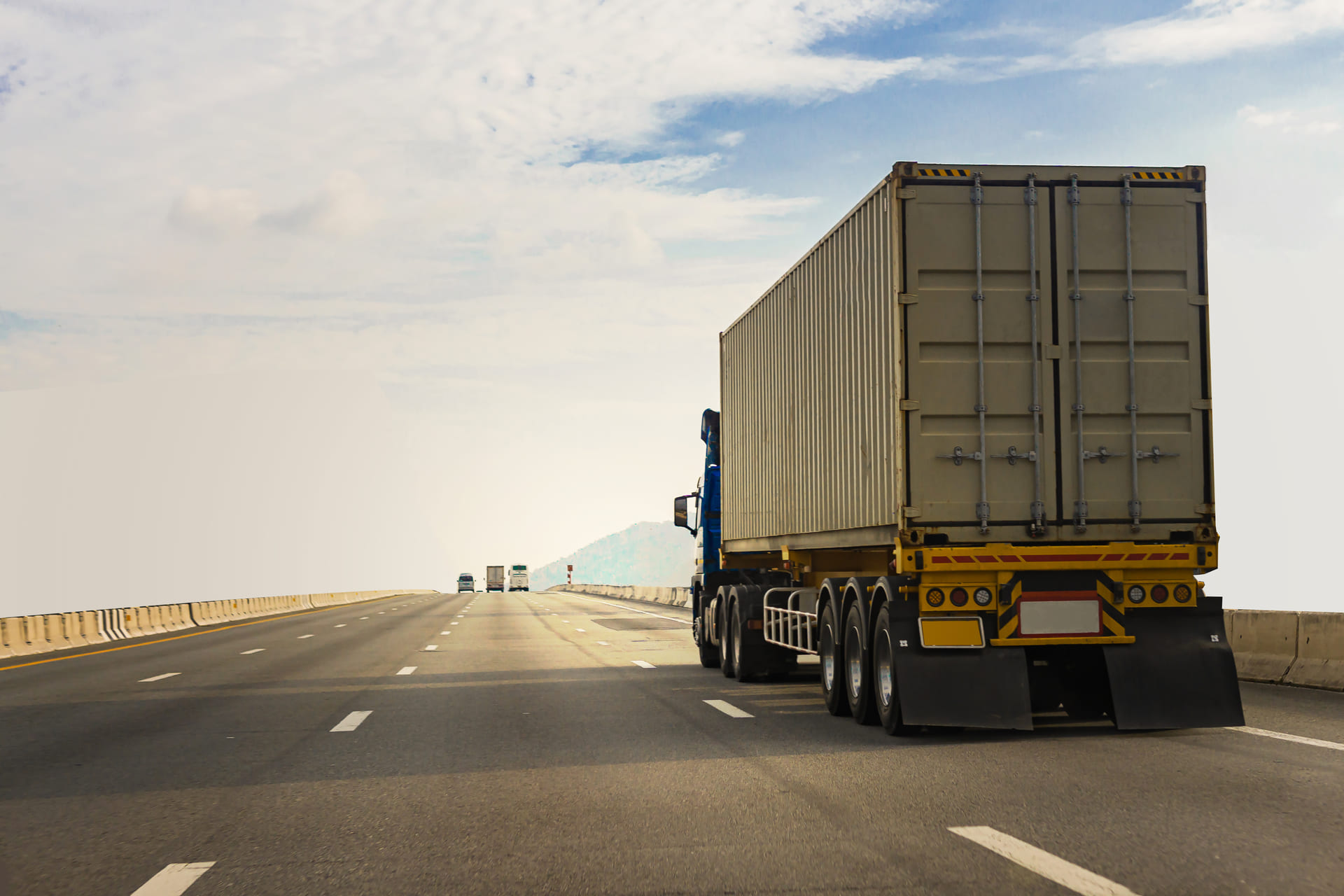 Projeto Ambiental “Rota Verde” é Lançado para Reduzir Impactos nas Estradas